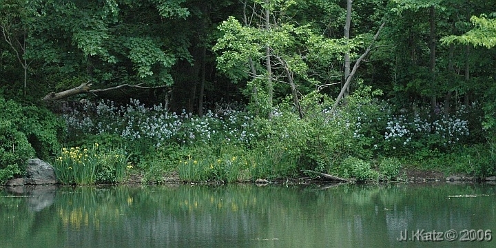 Near the Lake 